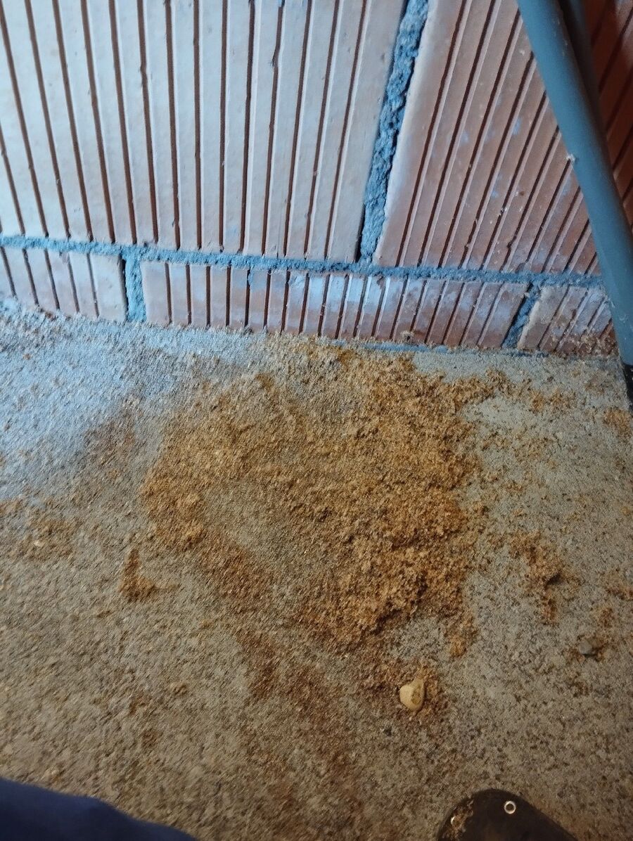 desinfestateur exterminateur-Pully-Einsatzvorbereitung.jpeg