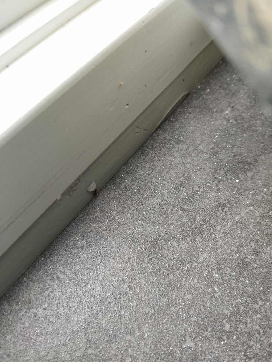 desinfestateur exterminateur-Roche (VD)-Einsatzvorbereitung.jpeg