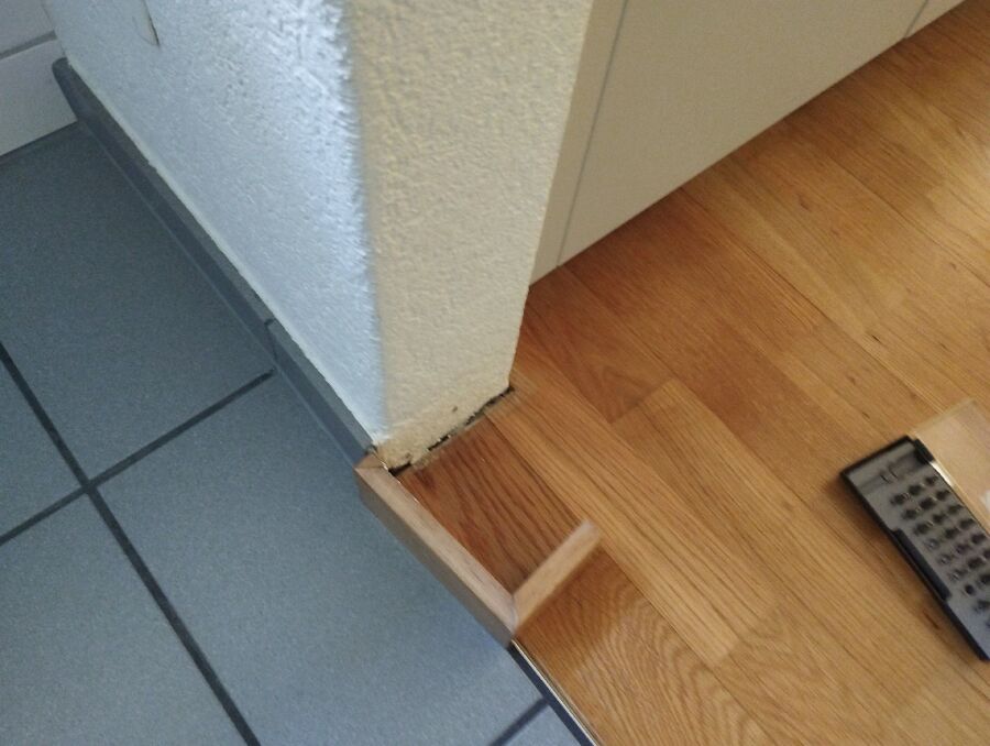 desinfestateur exterminateur-Romanel-sur-Morges-Einsatzvorbereitung.jpeg