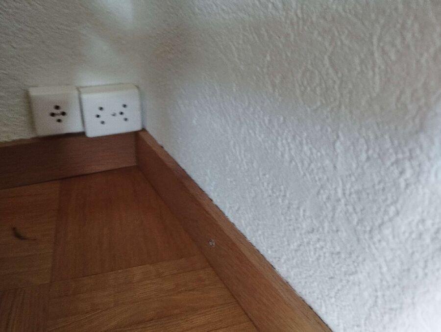 desinfestateur exterminateur-Presinge-Einsatzvorbereitung.jpeg