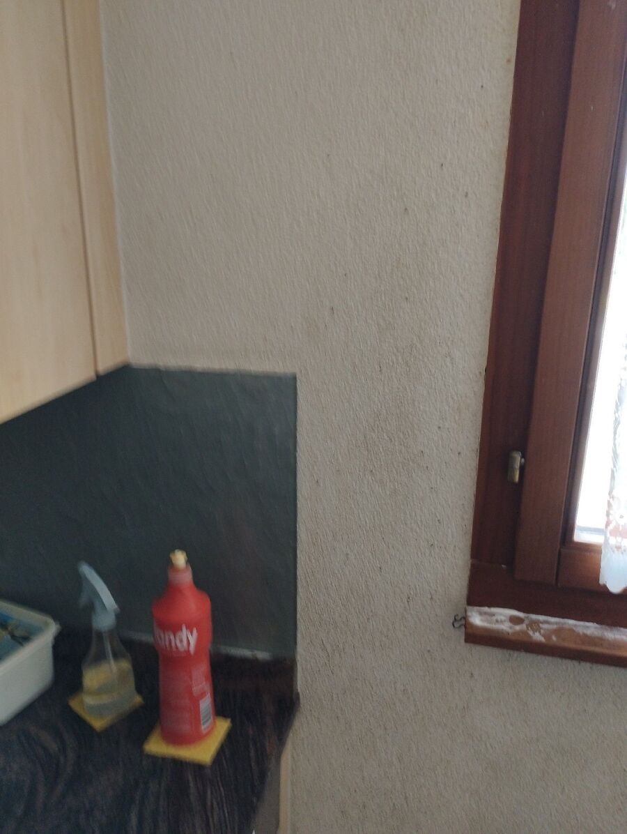 desinfestateur exterminateur-Ropraz-Einsatzvorbereitung.jpeg