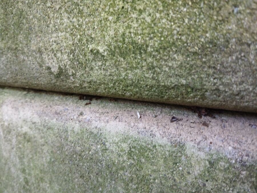 desinfestateur exterminateur-Rossenges-Einsatzvorbereitung.jpeg