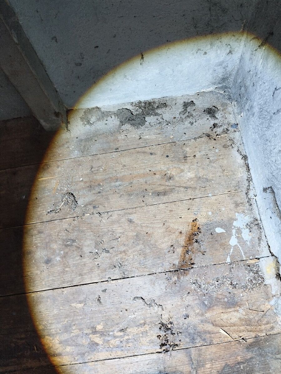 desinfestateur exterminateur-Rovray-Einsatzvorbereitung.jpeg