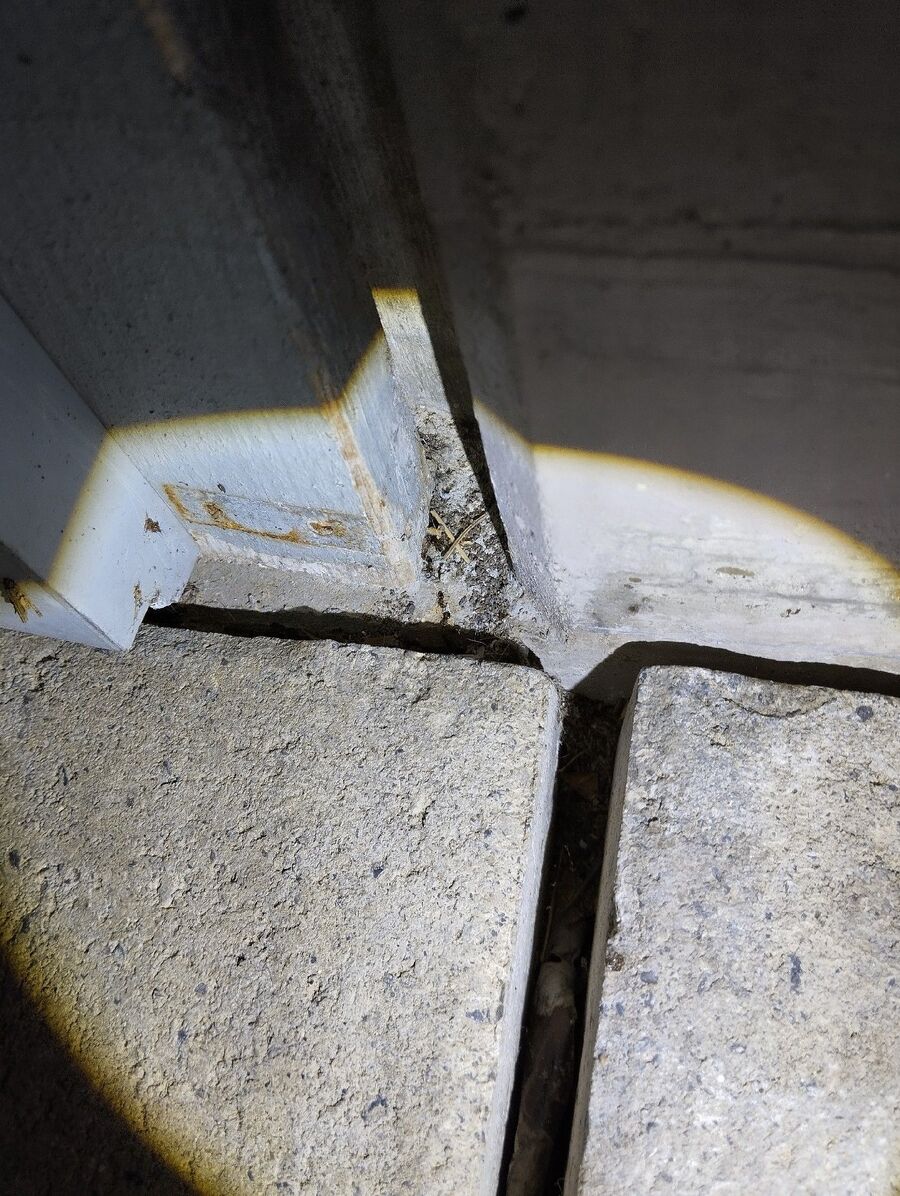 desinfestateur exterminateur-Saint-Barthélemy (VD)-Einsatzvorbereitung.jpeg