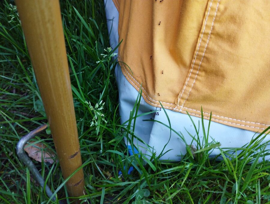 desinfestateur exterminateur-Saint-Livres-Einsatzvorbereitung.jpeg