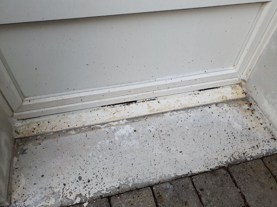 desinfestateur exterminateur-Saint-Prex-Einsatzvorbereitung.jpeg