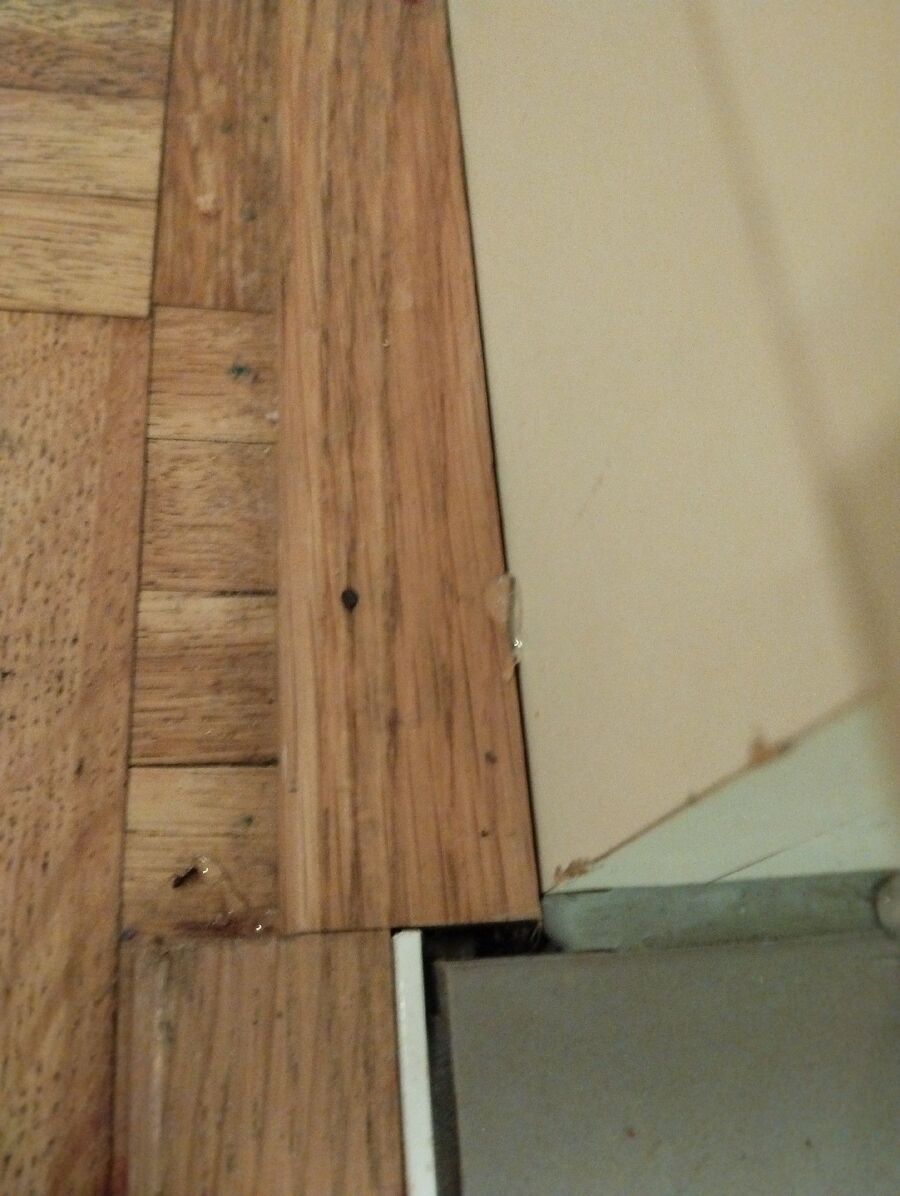 desinfestateur exterminateur-Saint-Saphorin (Lavaux)-Einsatzvorbereitung.jpeg