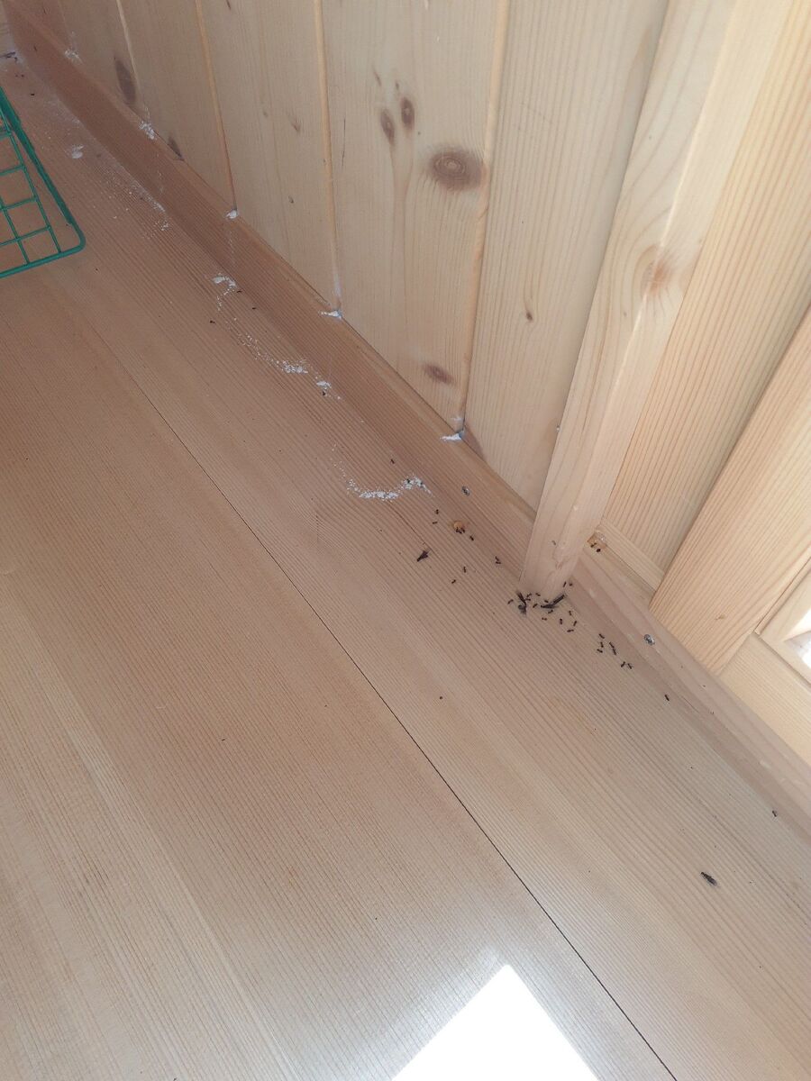 desinfestateur exterminateur-Servion-Einsatzvorbereitung.jpeg