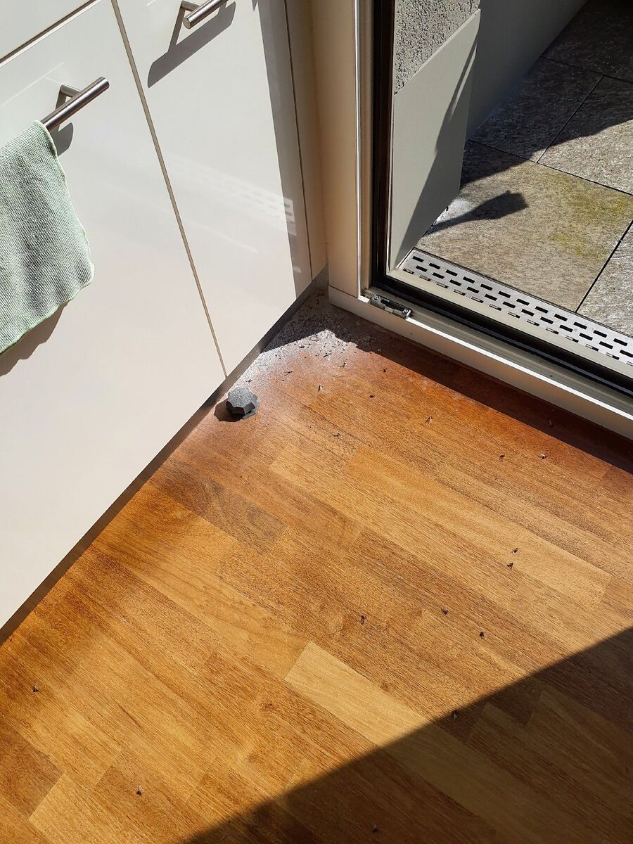 desinfestateur extermindesinfestateur exterminateur-Tannay-Einsatzvorbereitung.jpegateur-Tannay-Einsatzvorbereitung (635).jpeg