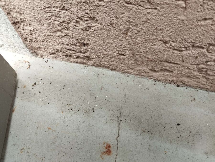 desinfestateur exterminateur-Satigny-Einsatzvorbereitung.jpeg