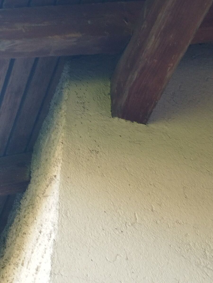 desinfestateur exterminateur-Trey-Einsatzvorbereitung.jpeg