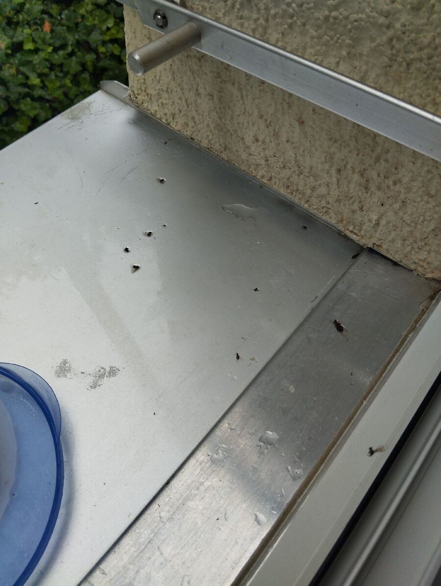 desinfestateur exterminateur-Valeyres-sous-Rances-Einsatzvorbereitung.jpeg