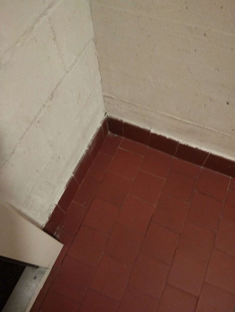 desinfestateur exterminateur-Villars-Epeney-Einsatzvorbereitung.jpeg