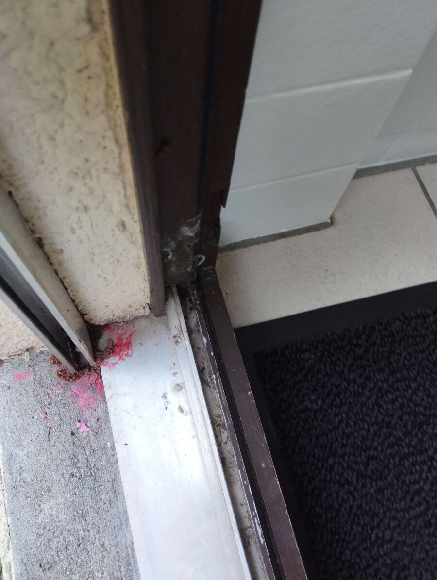 desinfestateur exterminateur-Villars-Sainte-Croix-Einsatzvorbereitung.jpeg