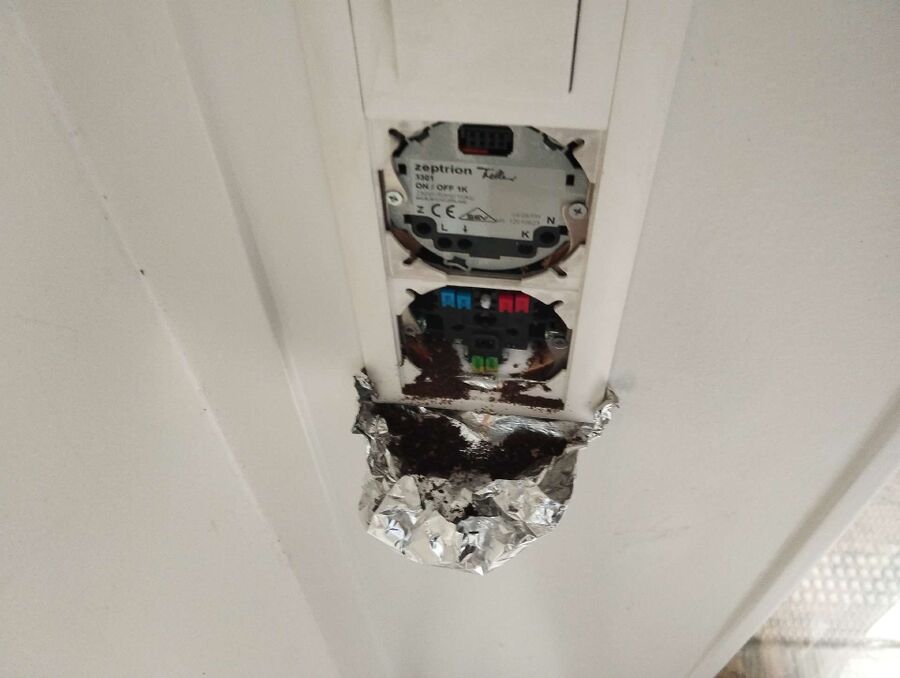 desinfestateur exterminateur-Villarzel-Einsatzvorbereitung.jpeg