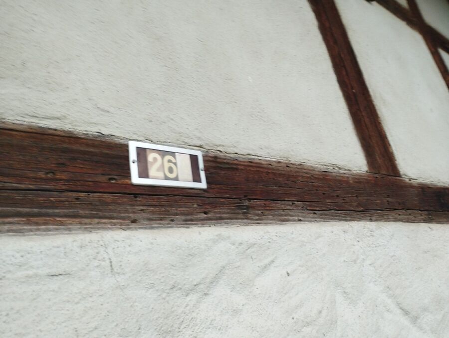 desinfestateur exterminateur-Vugelles-La Mothe-Einsatzvorbereitung.jpeg