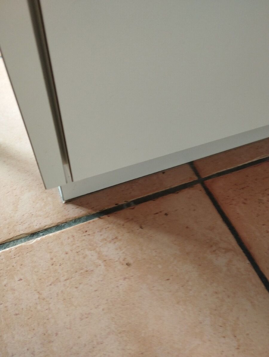 desinfestateur exterminateur-Vulliens-Einsatzvorbereitung.jpeg