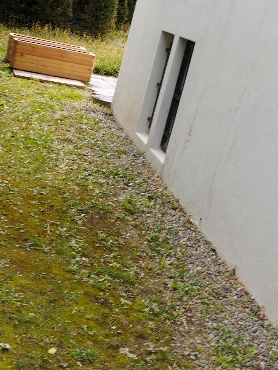 desinfestateur exterminateur-Yverdon-les-Bains-Einsatzvorbereitung.jpeg