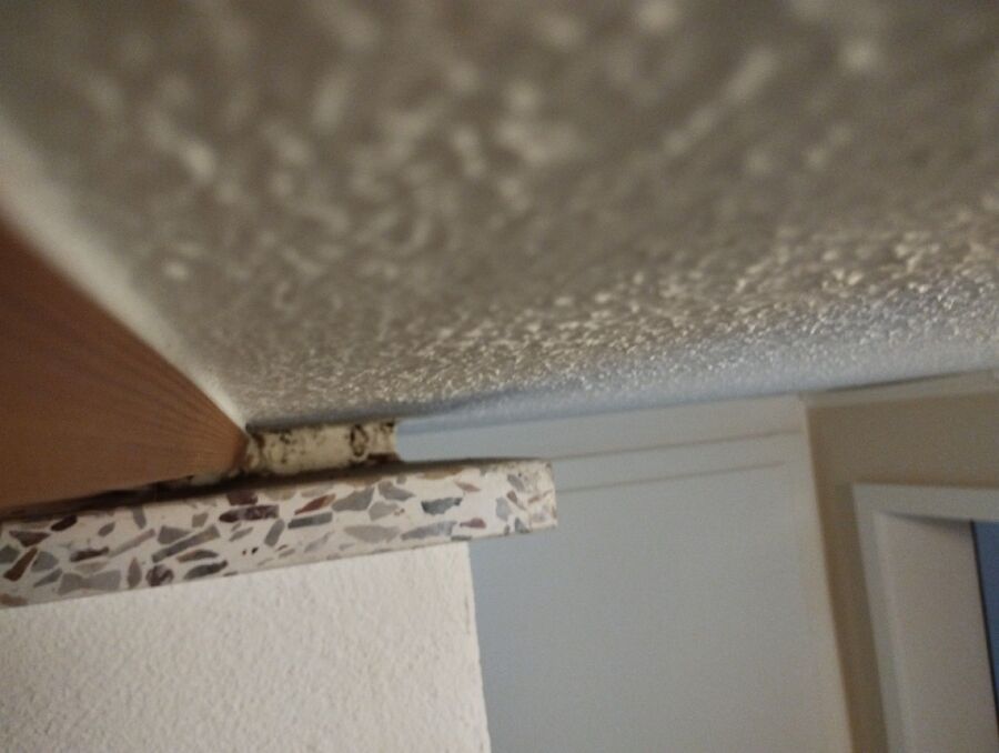 exterminateur en action