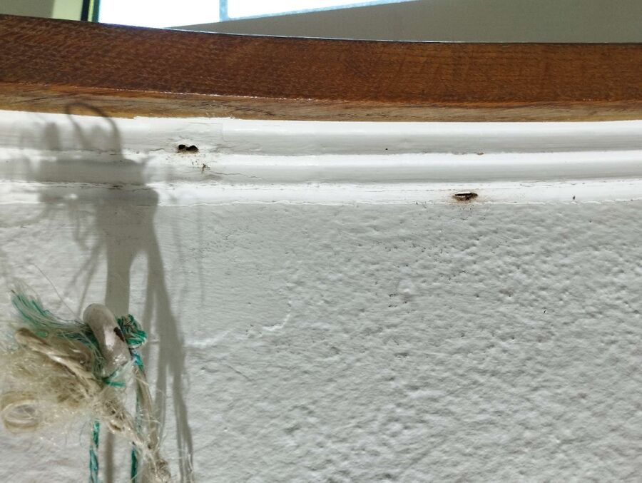 desinfestateur exterminateur-La Brévine-Einsatzvorbereitung.jpeg