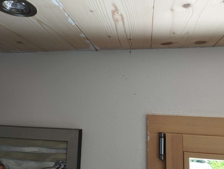 desinfestateur exterminateur-Bonfol-Einsatzvorbereitung.jpeg