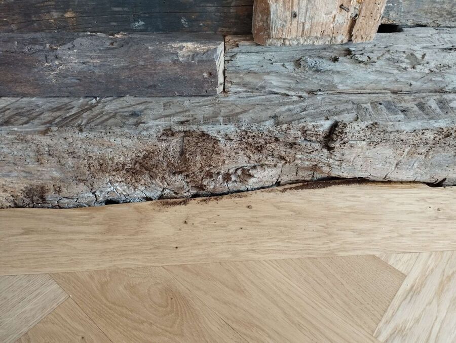 desinfestateur exterminateur-Bourrignon-Einsatzvorbereitung.jpeg