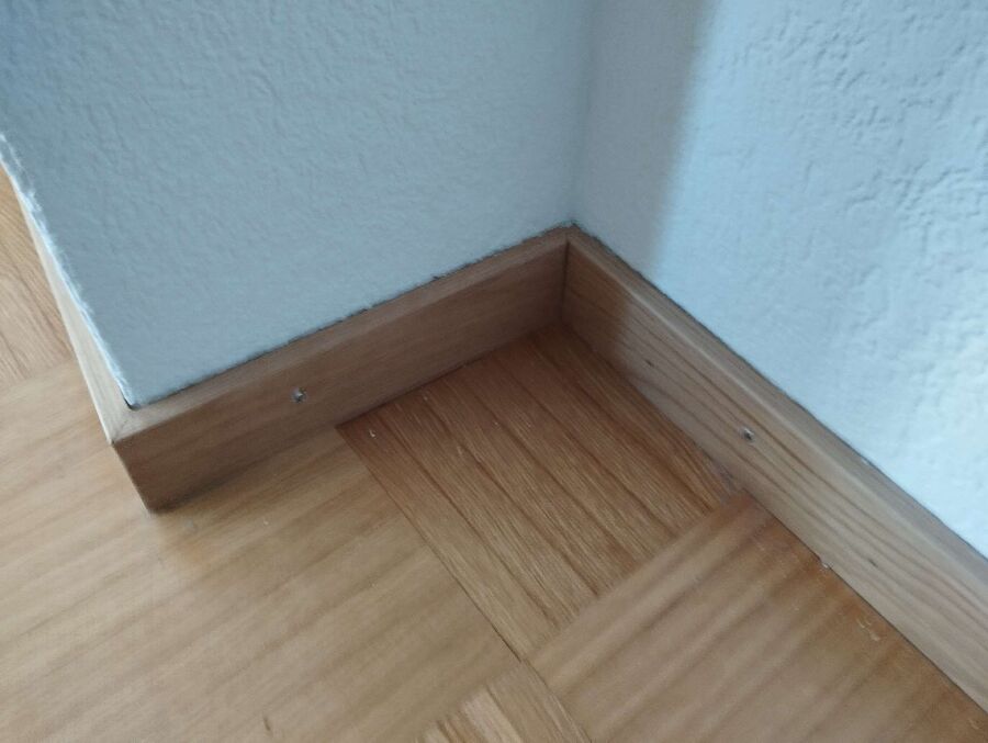 desinfestateur exterminateur-Bure-Einsatzvorbereitung.jpeg