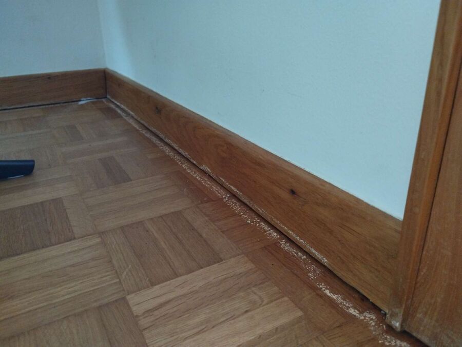 desinfestateur exterminateur-Cornol-Einsatzvorbereitung.jpeg