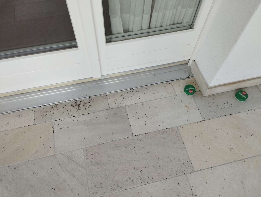 desinfestateur exterminateur-Courchapoix-Einsatzvorbereitung.jpeg