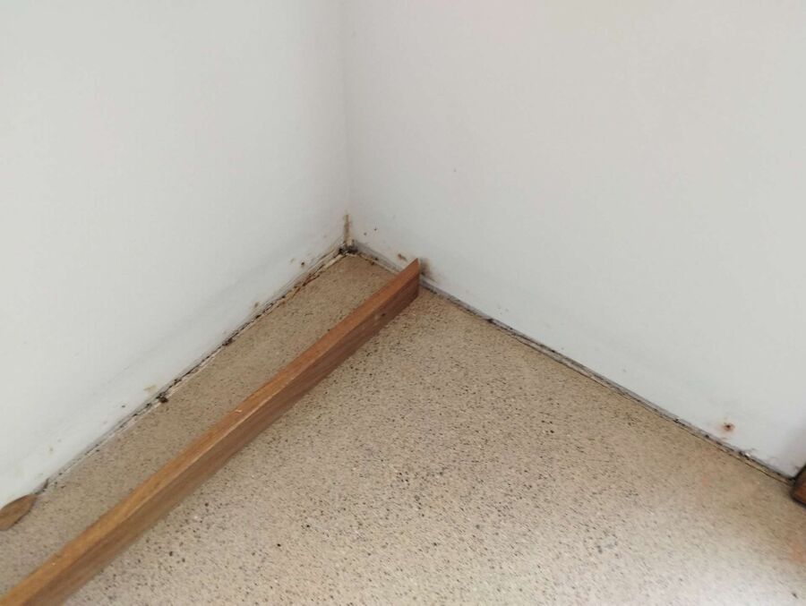 desinfestateur exterminateur-Courgenay-Einsatzvorbereitung.jpeg