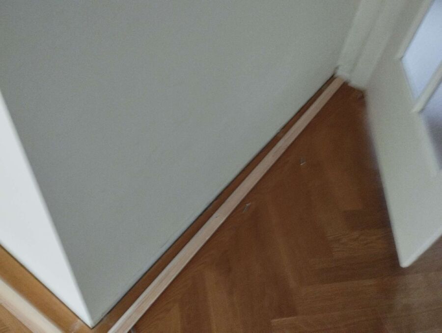 desinfestateur exterminateur-Courrendlin-Einsatzvorbereitung.jpeg