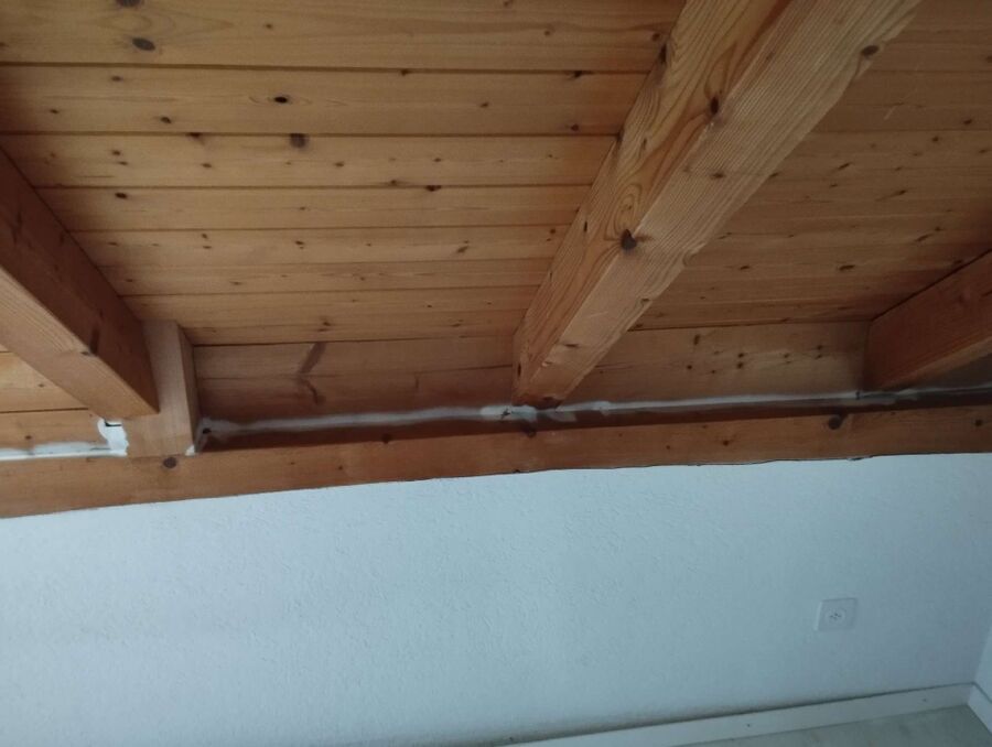 desinfestateur exterminateur-Courtedoux-Einsatzvorbereitung.jpeg