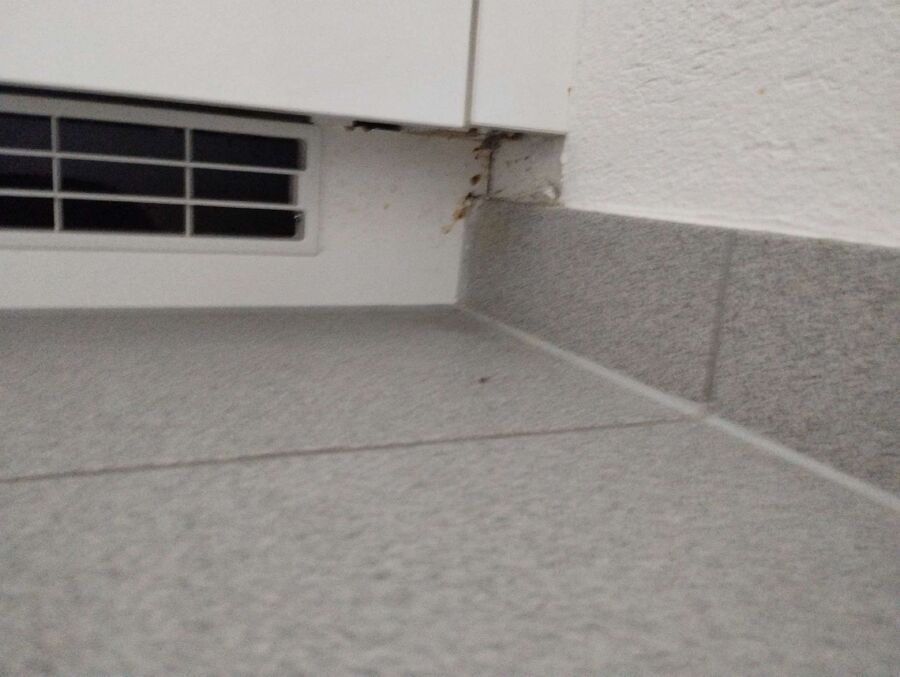 desinfestateur exterminateur-La Chaux-du-Milieu-Einsatzvorbereitung.jpeg