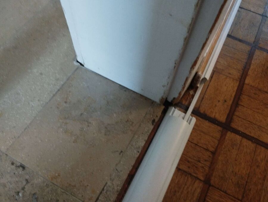 desinfestateur exterminateur-Ederswiler-Einsatzvorbereitung.jpeg