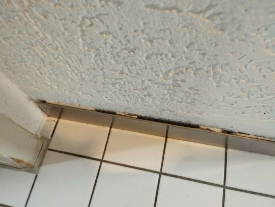 desinfestateur exterminateur-Fontenais-Einsatzvorbereitung.jpeg