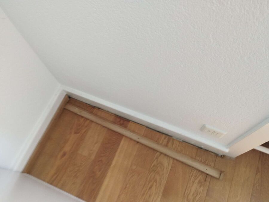 desinfestateur exterminateur-Haute-Ajoie-Einsatzvorbereitung.jpeg