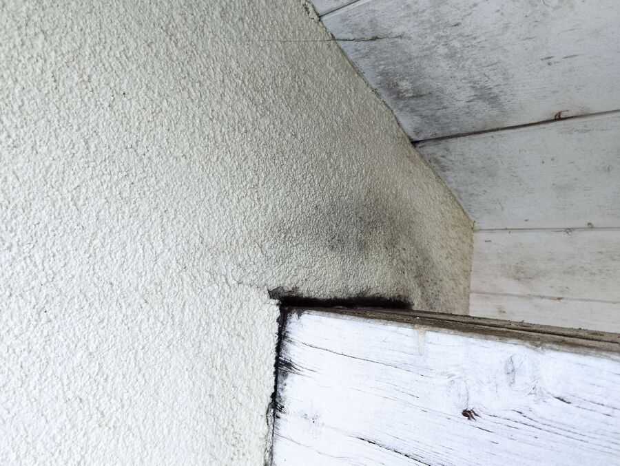 desinfestateur exterminateur-La Baroche-Einsatzvorbereitung.jpeg