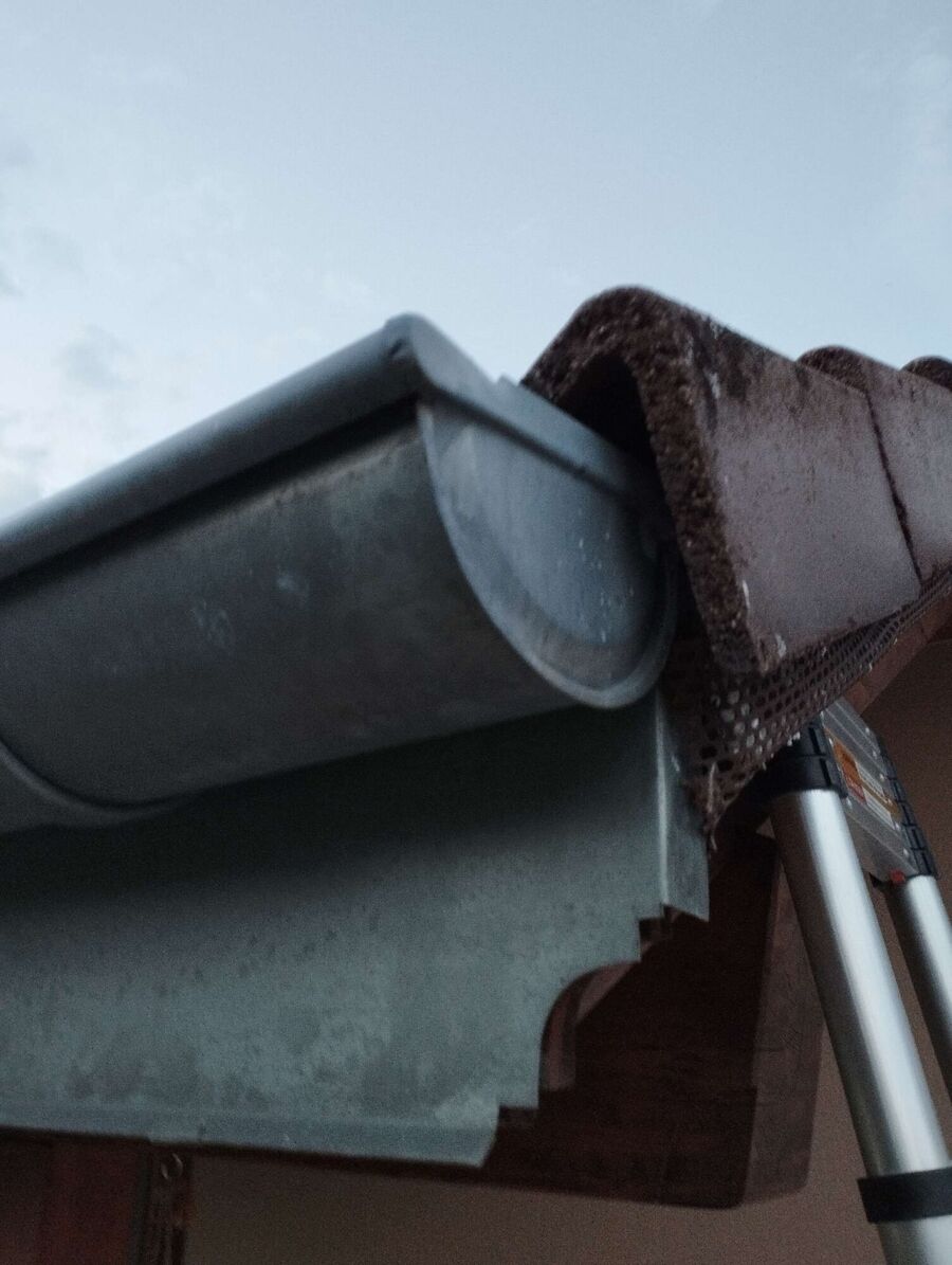 exterminateur d insectes a-Rossemaison.jpg