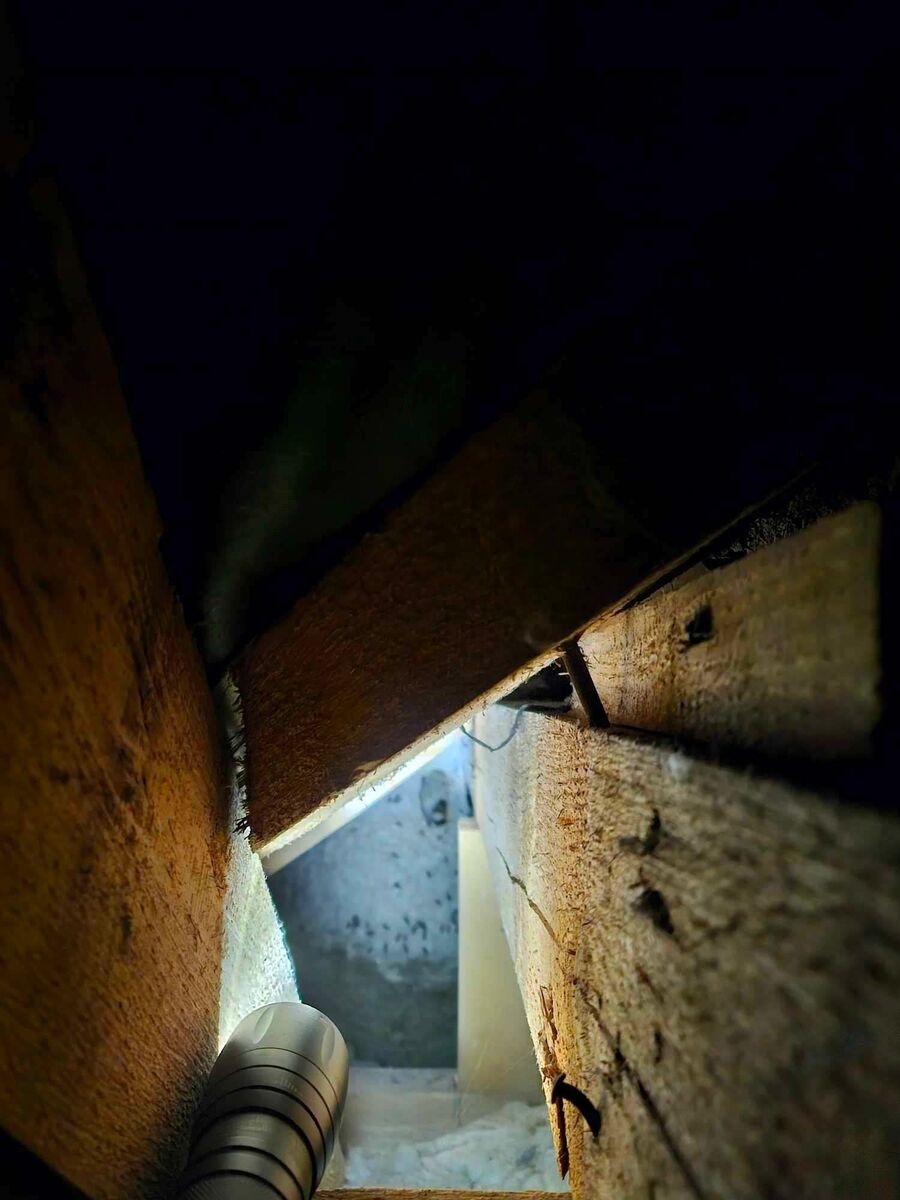 exterminateur d insectes a-La Sagne.jpg