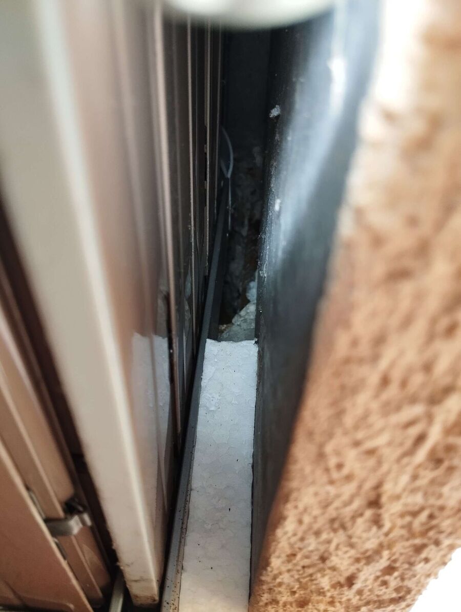 exterminateur d insectes a-Saint-Brais.jpg