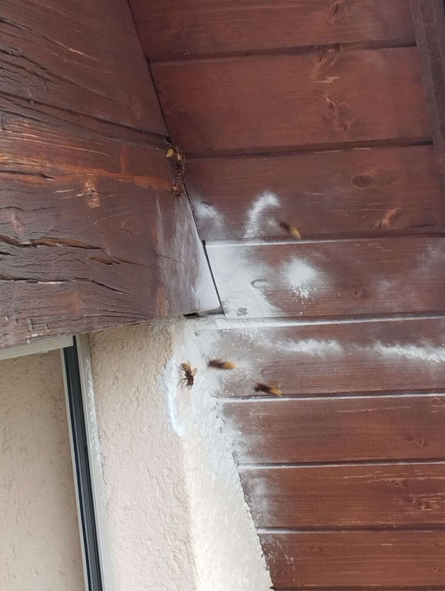 exterminateur d insectes a-Val Terbi.jpg