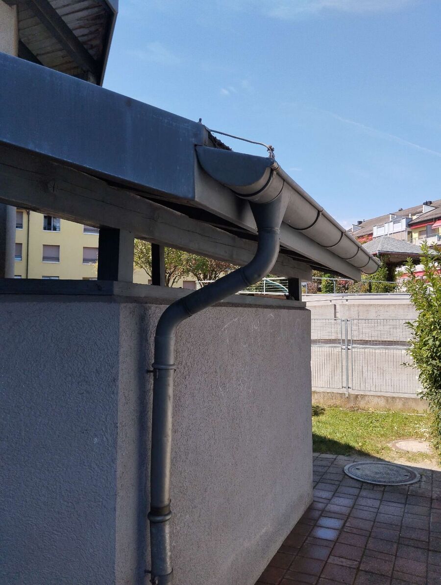 exterminateur d insectes a-Vendlincourt (125).jpeg