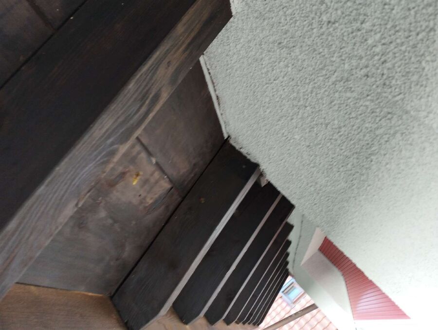 exterminateur d insectes a-Agarn.jpg