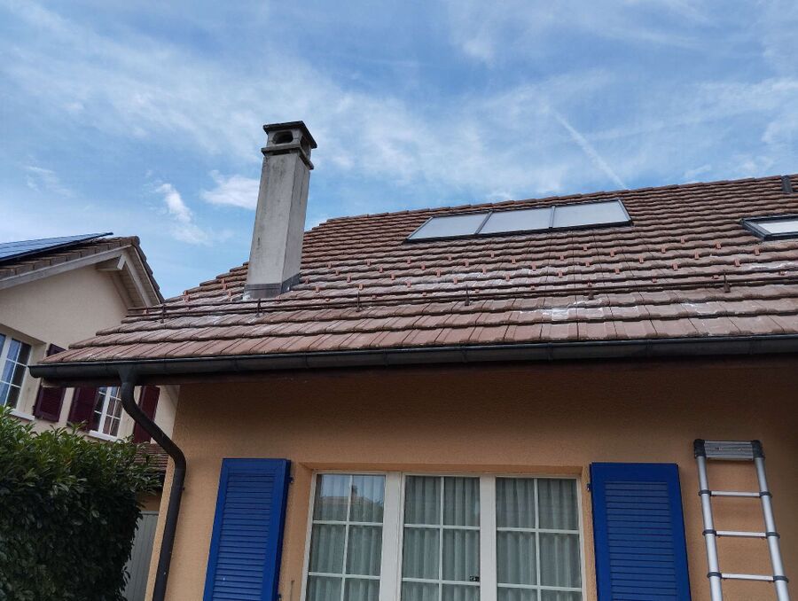 exterminateur d insectes a-Ayent.jpg