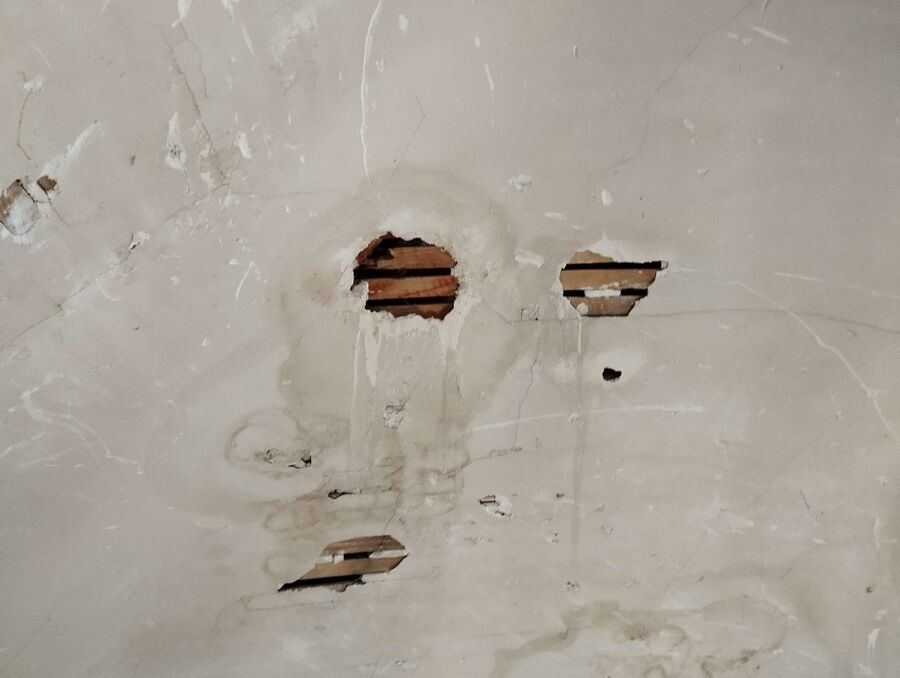 exterminateur d insectes a-Bettmeralp.jpg