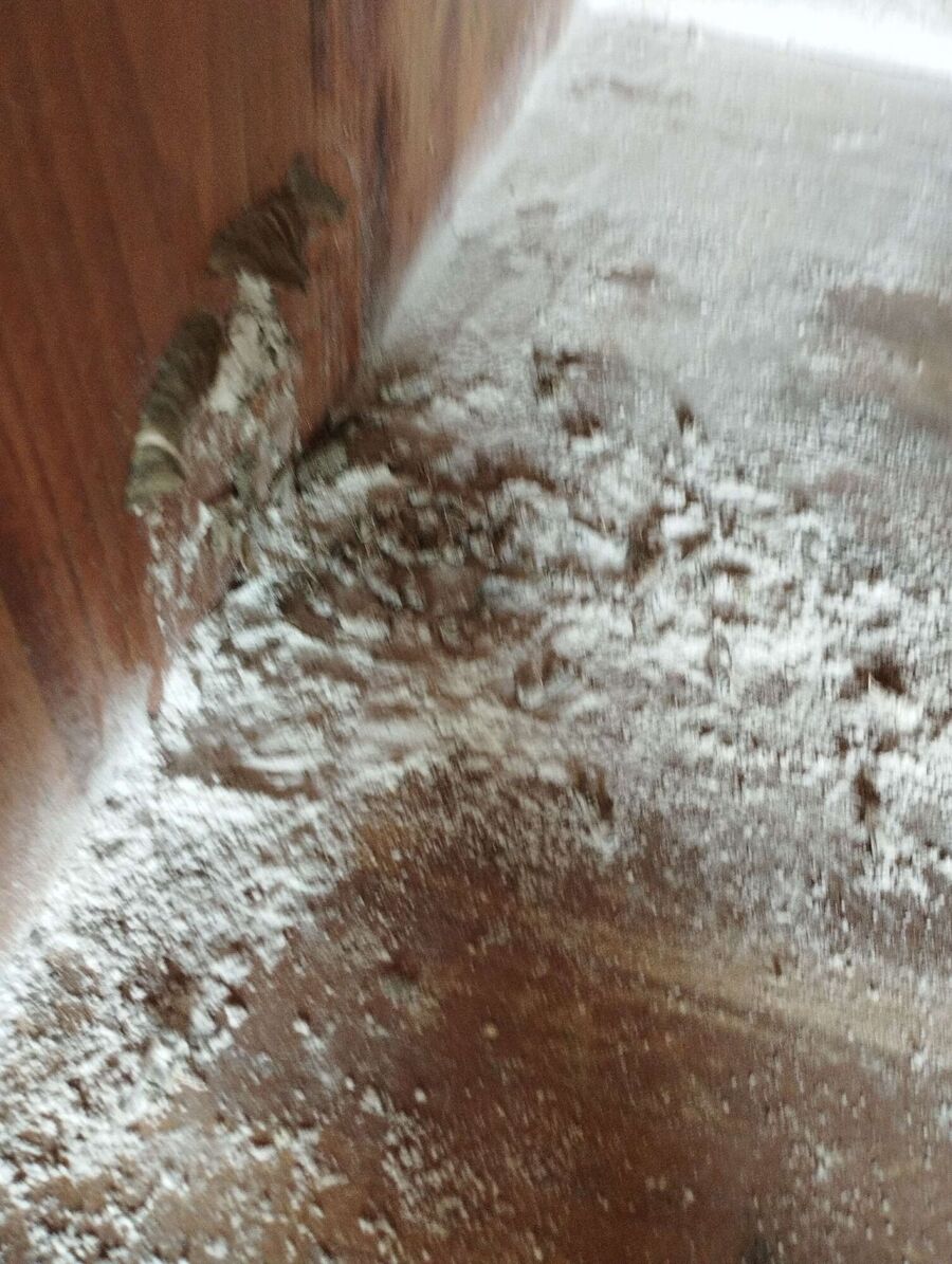 exterminateur d insectes a-Chalais.jpg