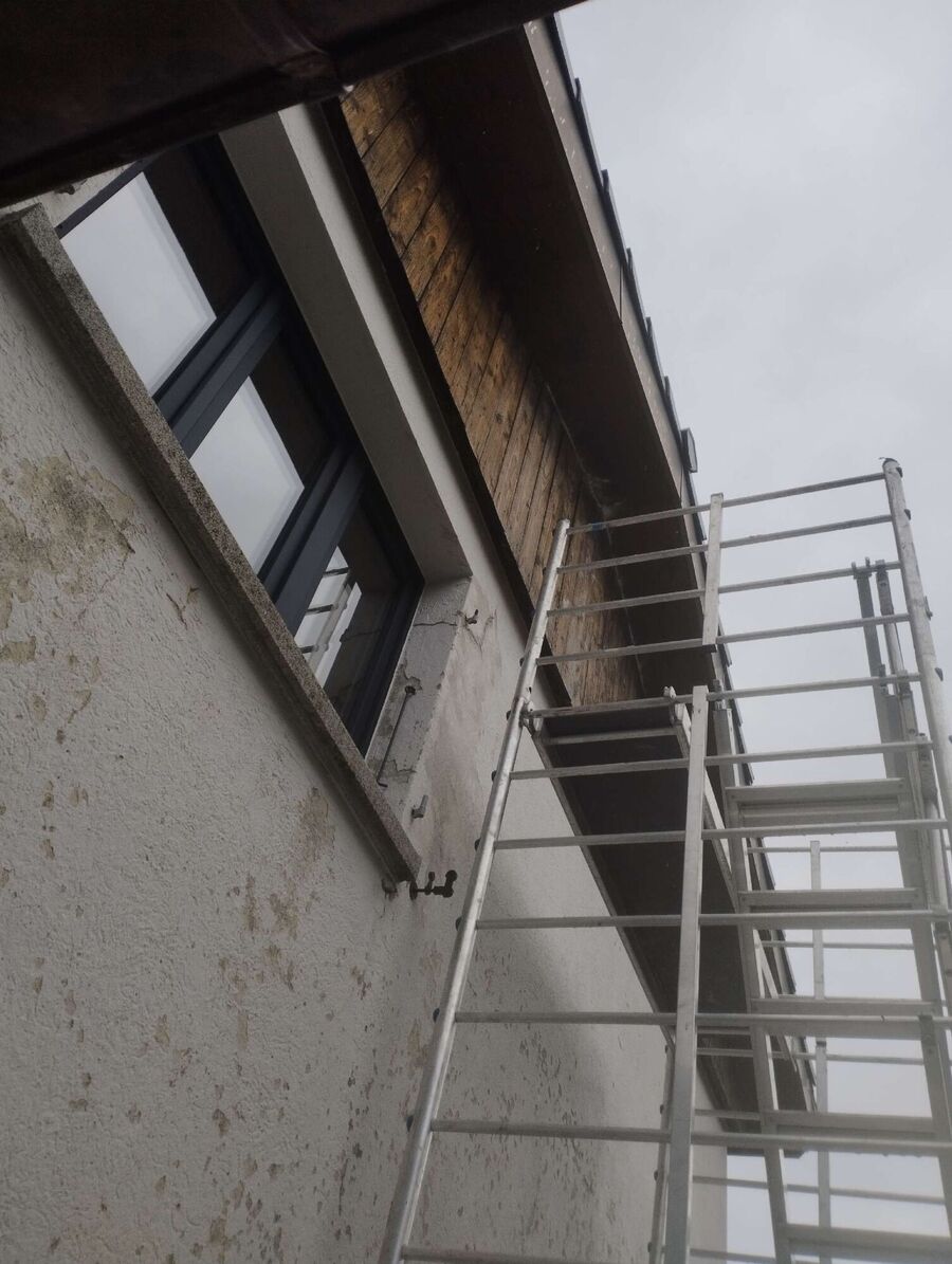 exterminateur d insectes a-Le Landeron.jpg