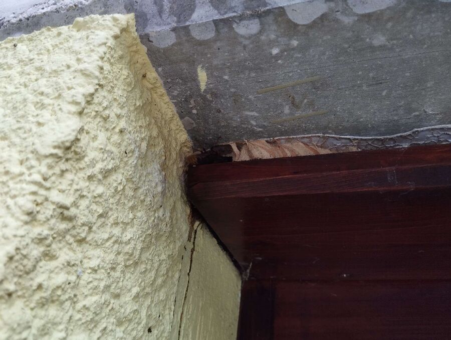 exterminateur d insectes a-Dorénaz.jpg