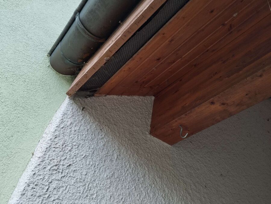 exterminateur d insectes a-Eisten.jpg