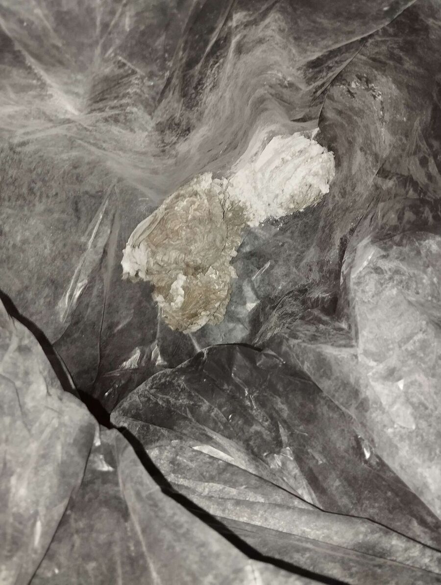 exterminateur d insectes a-Ergisch.jpg